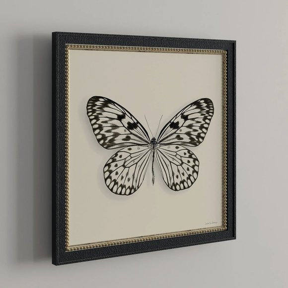 NIB Framed Butterfly Graphic Art Print - Picture 2 of 7